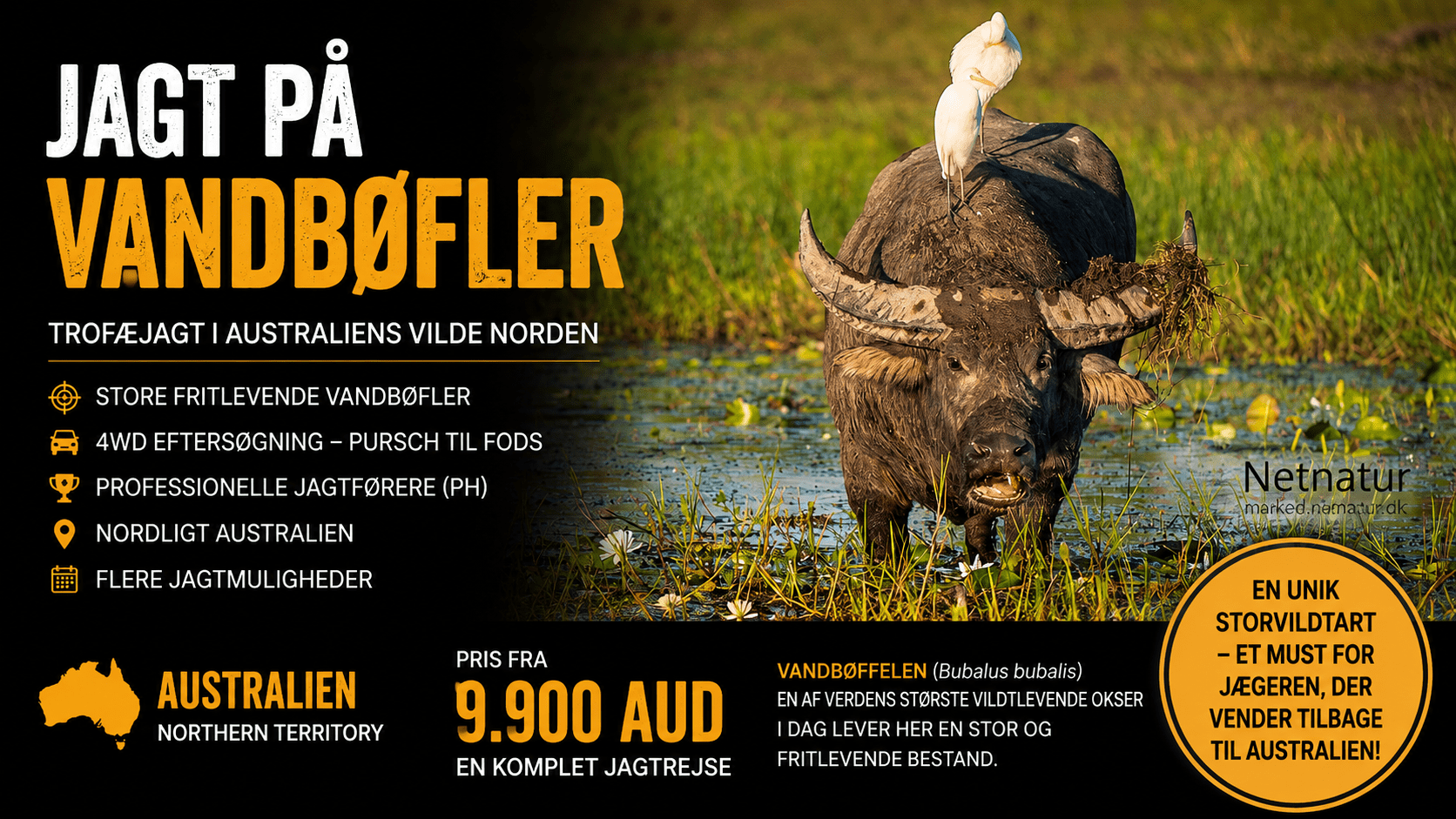 Vandboeffel-ads-1